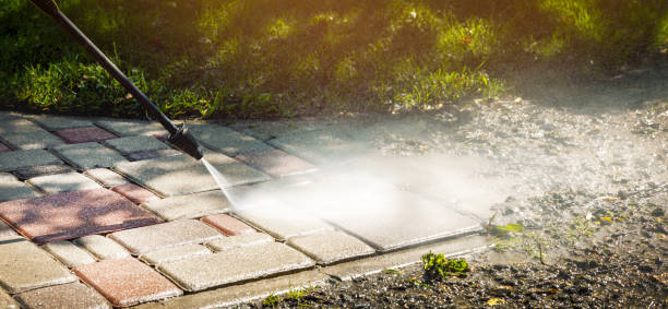 Animal Enclosure Cleaning in Wallington, NJ